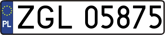 ZGL05875