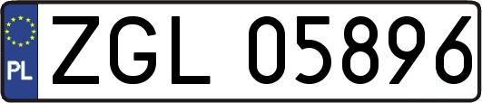 ZGL05896
