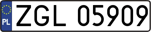 ZGL05909
