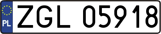 ZGL05918