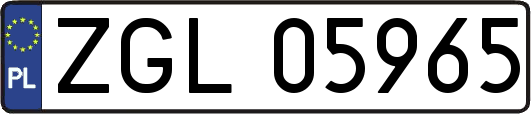 ZGL05965