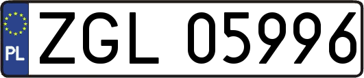 ZGL05996