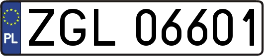 ZGL06601
