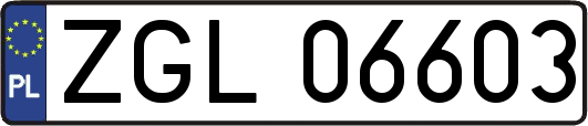 ZGL06603