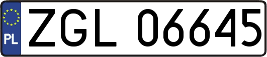 ZGL06645