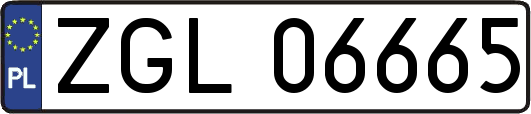 ZGL06665