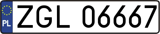ZGL06667