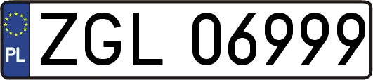 ZGL06999