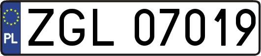 ZGL07019