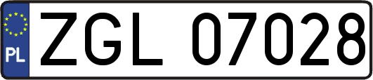 ZGL07028