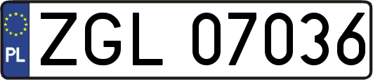ZGL07036