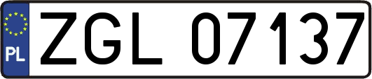 ZGL07137