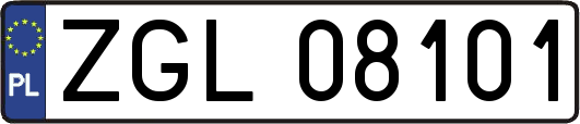 ZGL08101
