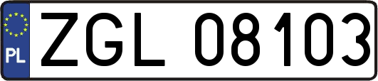 ZGL08103