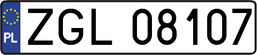 ZGL08107