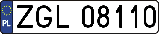 ZGL08110