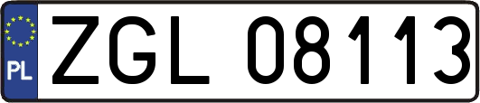 ZGL08113