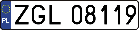 ZGL08119