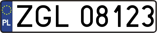ZGL08123