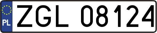 ZGL08124