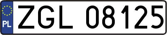 ZGL08125