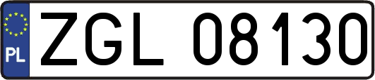 ZGL08130