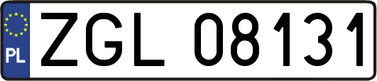 ZGL08131
