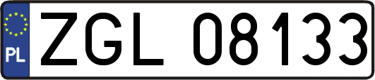 ZGL08133