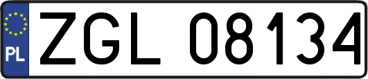 ZGL08134