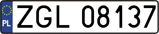 ZGL08137