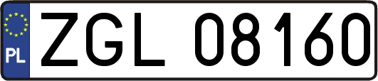 ZGL08160