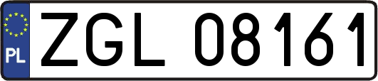 ZGL08161