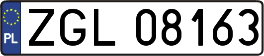 ZGL08163