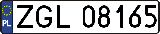 ZGL08165