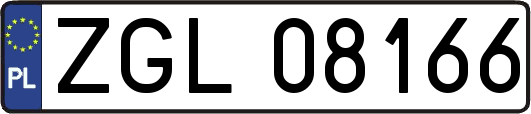 ZGL08166