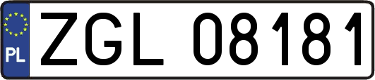 ZGL08181