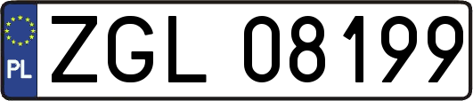 ZGL08199
