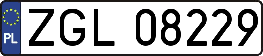 ZGL08229
