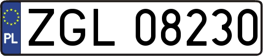 ZGL08230
