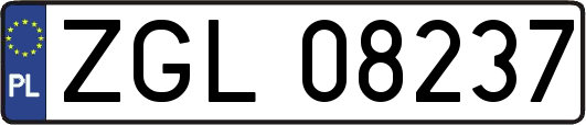 ZGL08237