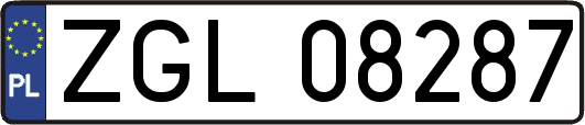 ZGL08287