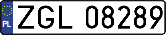 ZGL08289