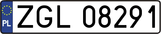 ZGL08291