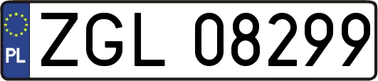 ZGL08299