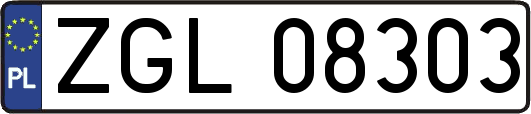 ZGL08303