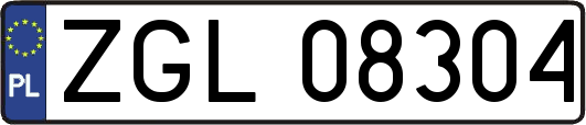 ZGL08304