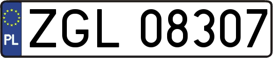 ZGL08307