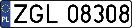 ZGL08308