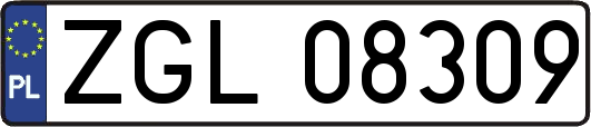ZGL08309