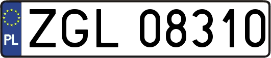 ZGL08310